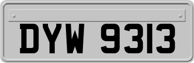 DYW9313