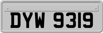DYW9319