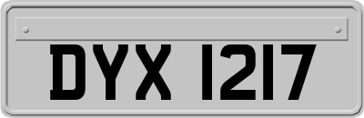 DYX1217