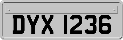 DYX1236