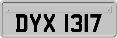 DYX1317