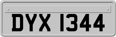 DYX1344