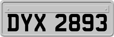 DYX2893