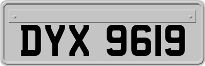 DYX9619
