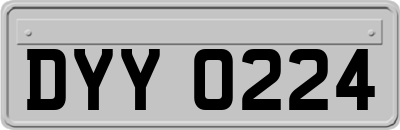 DYY0224