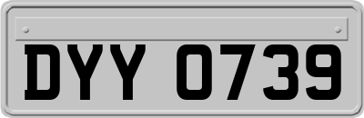 DYY0739