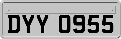DYY0955