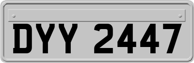 DYY2447