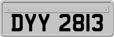 DYY2813