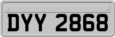 DYY2868