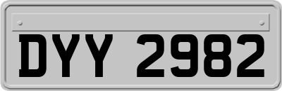 DYY2982