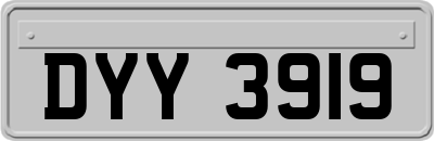 DYY3919