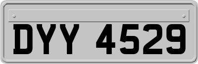 DYY4529