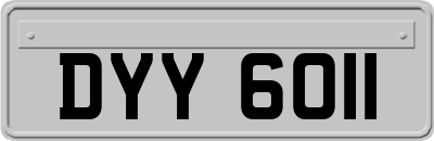 DYY6011