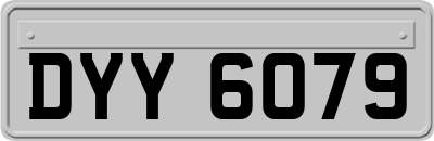 DYY6079