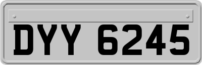 DYY6245