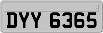 DYY6365