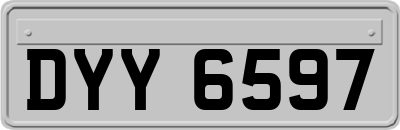 DYY6597