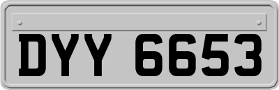 DYY6653