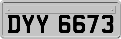 DYY6673