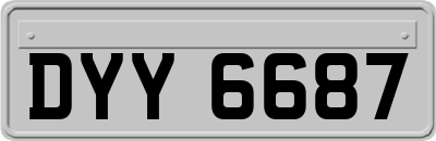 DYY6687
