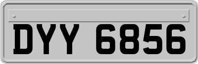 DYY6856