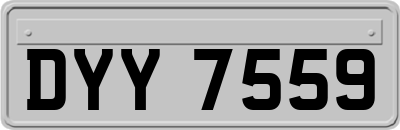 DYY7559