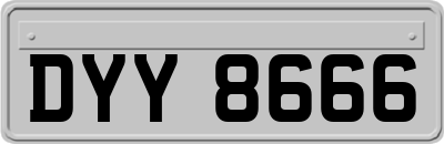 DYY8666
