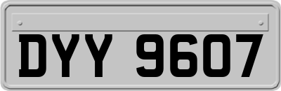 DYY9607