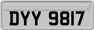DYY9817