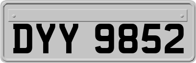DYY9852