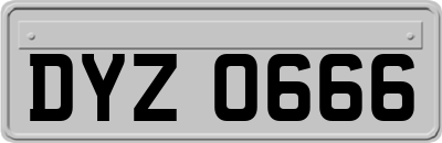 DYZ0666