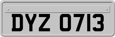DYZ0713