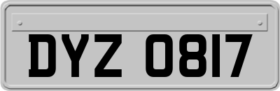 DYZ0817