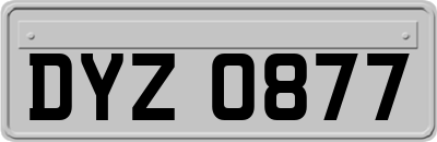 DYZ0877