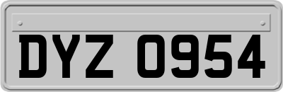 DYZ0954