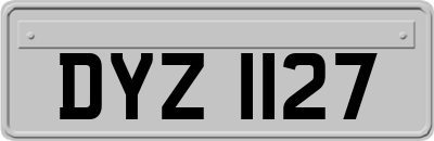 DYZ1127