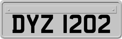 DYZ1202