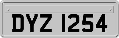 DYZ1254
