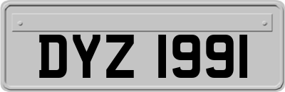 DYZ1991