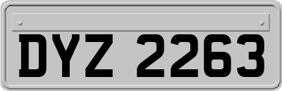 DYZ2263
