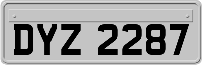 DYZ2287