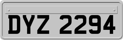 DYZ2294
