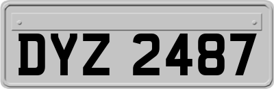 DYZ2487