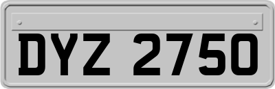 DYZ2750