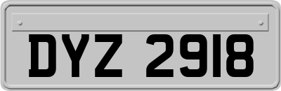 DYZ2918