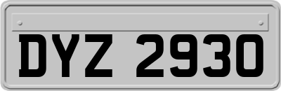 DYZ2930