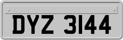 DYZ3144