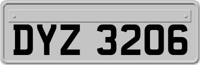 DYZ3206