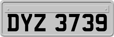 DYZ3739
